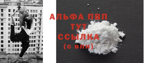 винт Коряжма
