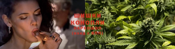 винт Коряжма