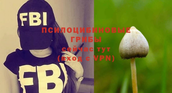 винт Коряжма
