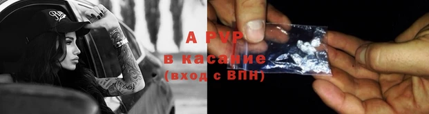 винт Коряжма