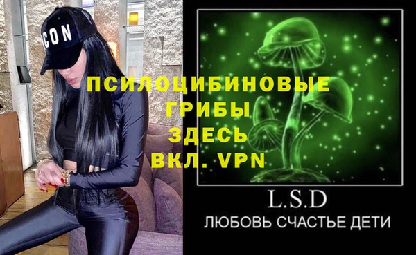 винт Коряжма