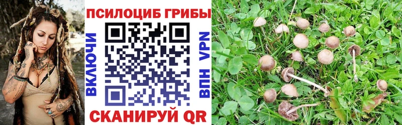 Галлюциногенные грибы ЛСД  Купить  Заполярный 