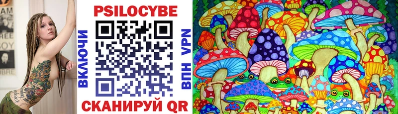 Галлюциногенные грибы Psilocybine cubensis Заполярный